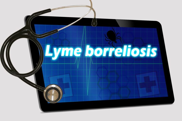 Лаймска болест